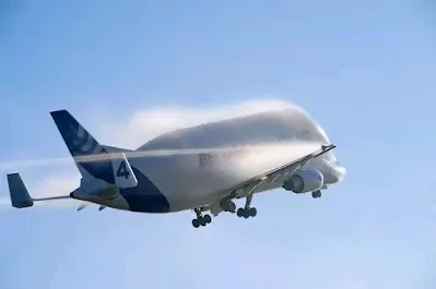 Air Beluga
