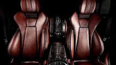 Carlex G-Falcon Interior