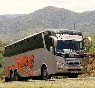 Tamhead bus East Africa Tamhead,East Africa's best long distance travel bus Auto Daily Diary